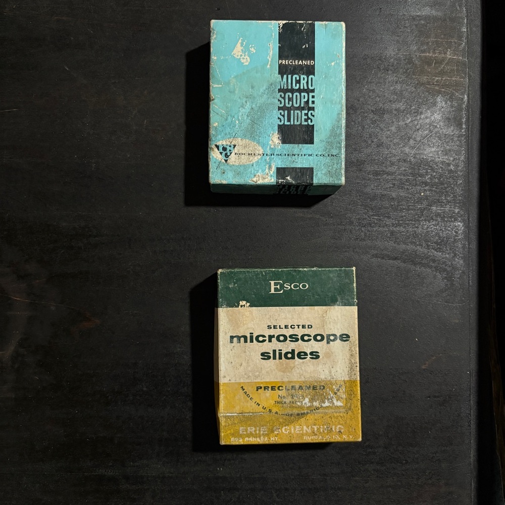 Vintage Microscope Slides